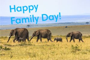 A family of elephants for Family Day 2019